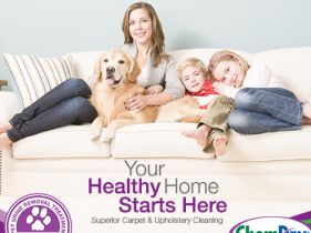 Your Healthy Home Starts Here