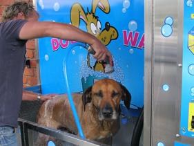 K9000 DIY Dog Wash