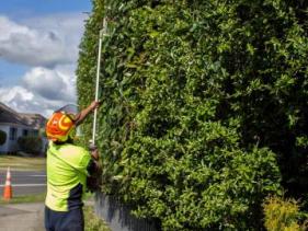 Knight Vegetation Services, Hedge Trimming & Pruning, Whakatane