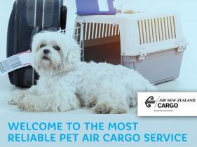 Pet Cargo