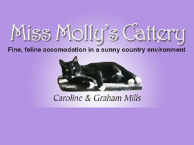 Miss Mollys Cattery, Whakatane
