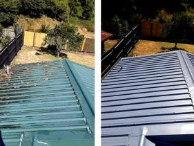 Roof Painting & Restoration