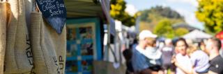 Whakatāne Sunday Market